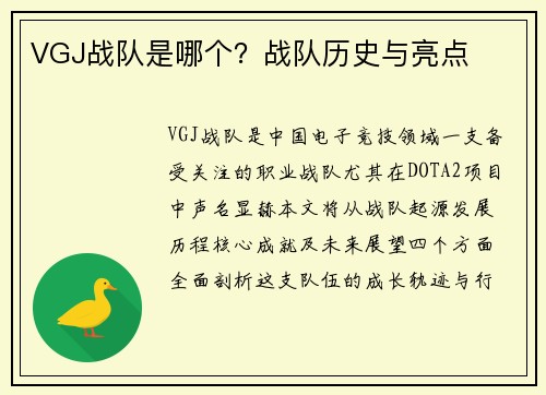 VGJ战队是哪个？战队历史与亮点